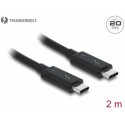 Delock 2 m 3 A Black (20 Gb/s) 84847