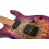 Spira Guitars S-450 TPP