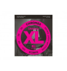 D-Addario ECB81S