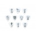 Planet Waves 1CWH2-10JS