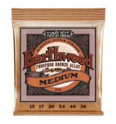 Ernie Ball 2144 EARTHWOOD PHOSPHOR BRONZE MEDIUM 13-56