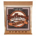 Ernie Ball 2144 EARTHWOOD PHOSPHOR BRONZE MEDIUM 13-56