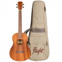 Flight NUB310 Baritone