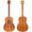 Flight NUB310 Baritone