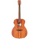 Prodipe Guitars SA27 MHS CEQ