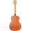Prodipe Guitars SA27 MHS CEQ
