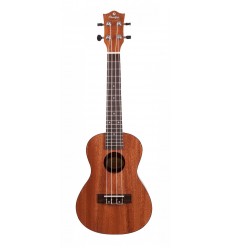 Prodipe Guitars BC210