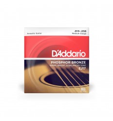 D-Addario EJ17