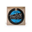 D-Addario EJ48