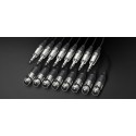 Alva Audio 8 x XLR mama - 8 x TRS 2M