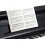 Classic Cantabile UP-1 SM E