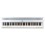 Steinmayer P-60 WM stage piano set