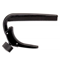 D-Addario PW-CP-04