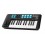 Alesis V25 MKII