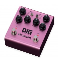Strymon DIG V2