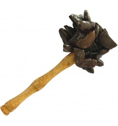 Terre JuJu