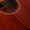Cort SFX MEM OP